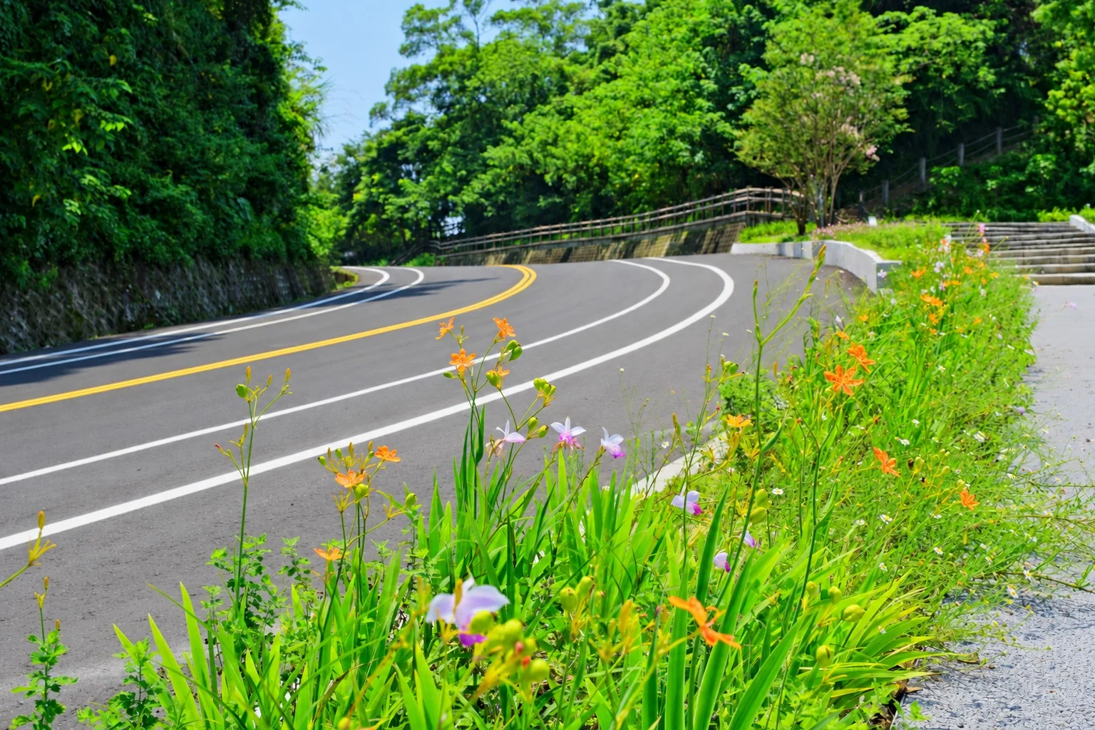 台3線138K～145K+500景觀改善工程｜沿山路延伸的草花帶